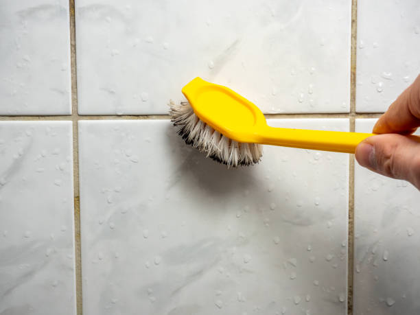  Wyomissing, PA Mold Removal Pros