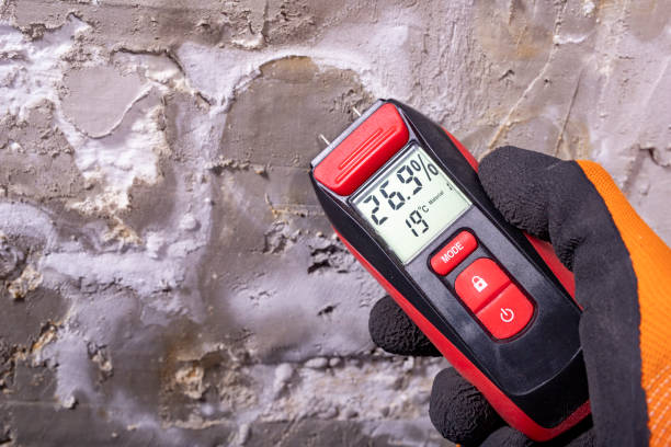 Best Residential Mold Remediation in Wyomissing, PA